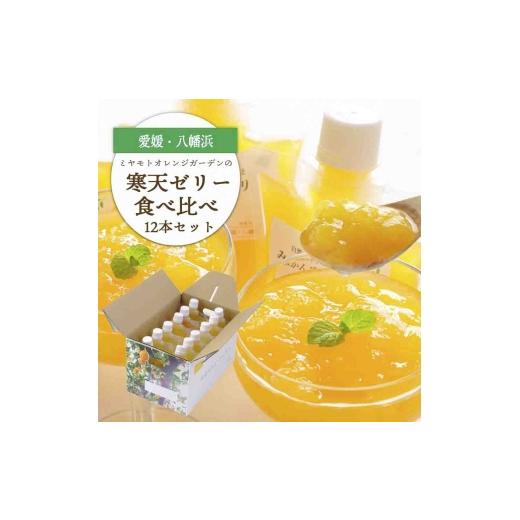 ふるさと納税 菓子 ゼリー 愛媛県 八幡浜市 人気品種食べ比べ みかん寒天ゼリーオールスター12本セット ミヤモトオレンジガーデン D25-20 _ゼリー 寒天 デザー…