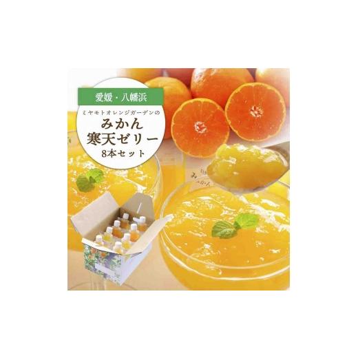 ふるさと納税 菓子 ゼリー 愛媛県 八幡浜市 愛媛県八幡浜市のおいしいみかんを使用 みかん寒天ゼリー8本セット C25-22 _ゼリー みかんゼリー みかん寒天ゼリー…
