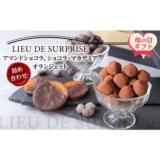 ふるさと納税 菓子 チョコレート 香川県 高松市 母の日ギフト [P?tisserie LIEU DE SURPRISE]アマンドショコラ、ショコラ・マカデミア、オランジェット詰め…