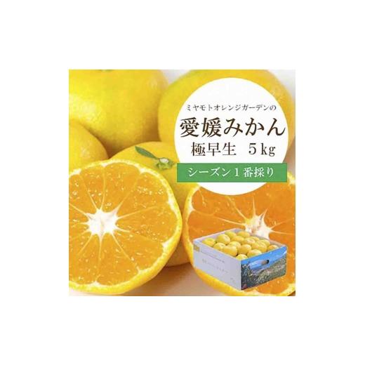 ふるさと納税 果物類 みかん 愛媛県 八幡浜市 シーズン1番採り 八幡浜産 極早生みかん 5kg C25-35 _ みかん ミカン 柑橘 フルーツ ふるーつ 果物 くだもの 青…