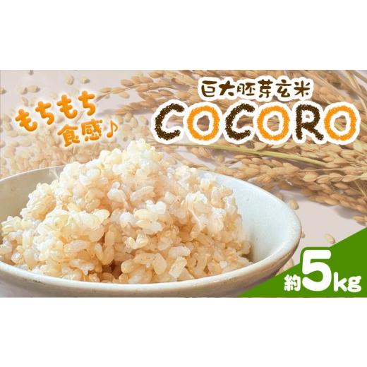 ふるさと納税 玄米 岡山県 浅口市 巨大胚芽米COCORO 玄米 約5kg 配送不可地域あり (離島) ドリームクリエイト早瀬農産 早瀬亨[2026年10月中旬-11月中旬頃出荷…