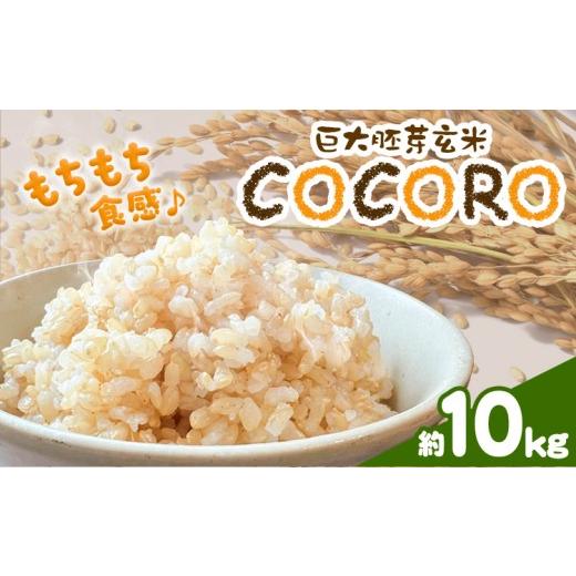 ふるさと納税 玄米 岡山県 浅口市 巨大胚芽米COCORO 玄米 約10kg 配送不可地域あり (離島) ドリームクリエイト早瀬農産 早瀬亨[2026年10月中旬-11月中旬頃出…