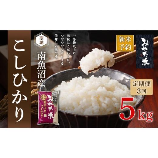 ふるさと納税 米 コシヒカリ 新潟県 南魚沼市 令和8年産新米予約 定期便3ヶ月 南魚沼産こしひかり みやた米5kg 2026年10月上旬より1ヶ月以内に順次発送予定