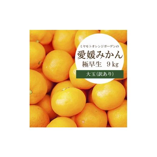 ふるさと納税 果物類 みかん 愛媛県 八幡浜市 シーズン一番採り 極早生みかん 大玉9kg 訳あり C25-74 1148854 YW