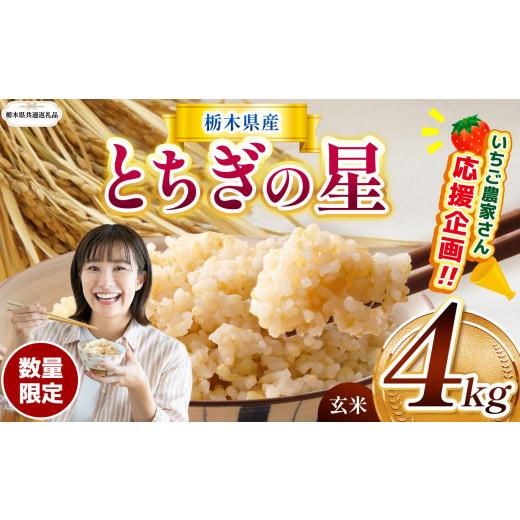 ふるさと納税 玄米 栃木県 那珂川町 栃木県共通返礼品 先行予約 訳あり 数量 限定 令和8年度産 とちぎの星 約 4kg| とちぎの星 ミルキークイーン 米 okome ko…