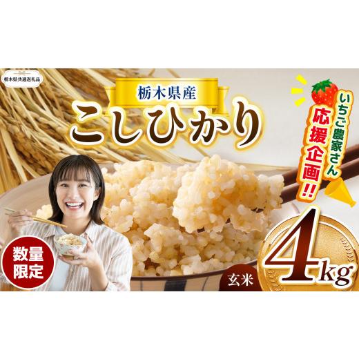 ふるさと納税 玄米 栃木県 那珂川町 栃木県共通返礼品 先行予約 定期2回 訳あり 数量 限定 令和8年度産 こしひかり コシヒカリ 約 4kg | こしひかり コシヒカ…