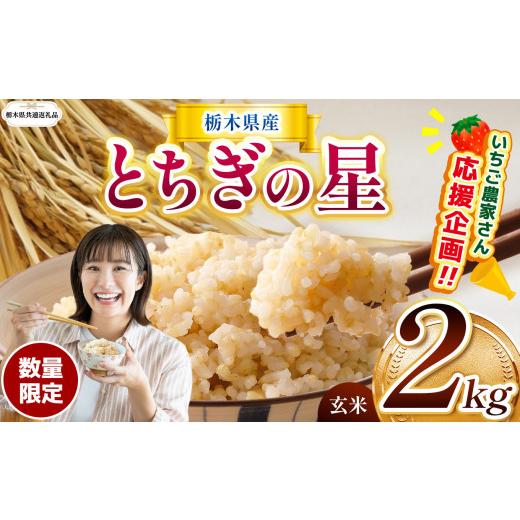 ふるさと納税 玄米 栃木県 那珂川町 栃木県共通返礼品 先行予約 定期2回 訳あり 数量 限定 令和8年度産 とちぎの星 約 2kg | とちぎの星 ミルキークイーン ko…