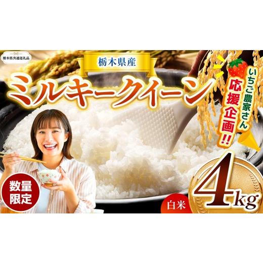 ふるさと納税 米 ミルキークイーン 栃木県 那珂川町 栃木県共通返礼品 先行予約 訳あり 数量 限定 令和8年度産 ミルキークイーン 約 4kg | とちぎの星 ミルキ…
