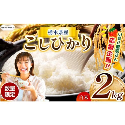 ふるさと納税 米 コシヒカリ 栃木県 那珂川町 栃木県共通返礼品 先行予約 定期2回 訳あり 数量 限定 定期便 令和8年度 栃木県産コシヒカリ 約 2kg | 数量限定…