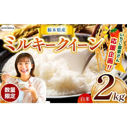ふるさと納税 米 ミルキークイーン 栃木県 那珂川町 栃木県共通返礼品 先行予約 定期2回 訳あり 数量 限定 定期便 令和8年度産 ミルキークイーン 約 2kg | と…