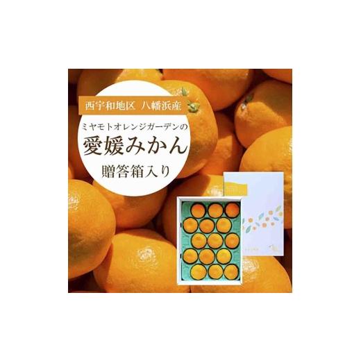 ふるさと納税 果物類 みかん 愛媛県 八幡浜市 西宇和地区八幡浜産 愛媛みかん 贈答用 15個入り C25-97 _みかん ミカン 蜜柑 愛媛みかん 温州みかん 果物 くだ…