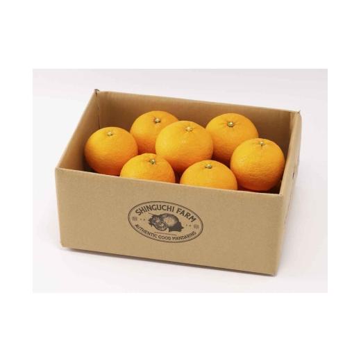 ふるさと納税 みかん・柑橘類 愛媛県 八幡浜市 木成り完熟 甘夏 5kg 『ほのかな苦味とスッキリした甘み』 C70-26 _みかん ミカン 甘夏 あまなつ 甘夏みかん …