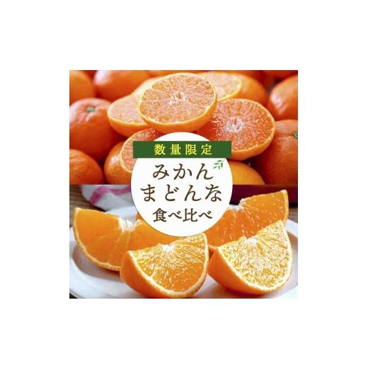 ふるさと納税 果物類 みかん 愛媛県 八幡浜市 愛媛みかん・まどんな食べ比べ 合計4kg 訳あり F25-118 _ 蜜柑 ミカン みかん 柑橘類 フルーツ 果物 くだもの 人…