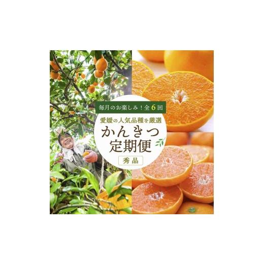 ふるさと納税 果物類 みかん 愛媛県 八幡浜市 発送月固定定期便 愛媛の人気品種を厳選 旬のかんきつ定期便(秀品)全6回 H25-120 4002604 YW