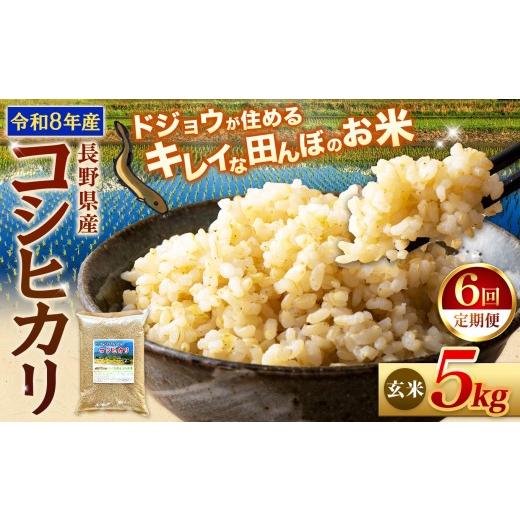 ふるさと納税 米 コシヒカリ 長野県 松川村 令和8年産先行予約 6回定期便 どじょうのいる田んぼのお米 コシヒカリ 信州安曇野松川村産|玄米 5kg 定期 6回 有…
