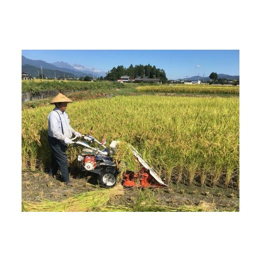 ふるさと納税 米 コシヒカリ 長野県 松川村  令和8年産先行予約 6回定期便 どじょうのいる田んぼのお米 コシヒカリ 信州安曇野松川村産｜馬場農園 玄米 5kg 定…の画像