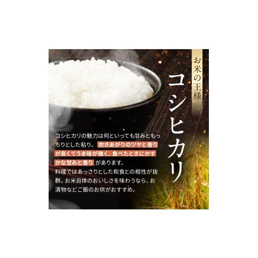 ふるさと納税 米 コシヒカリ 長野県 松川村  令和8年産先行予約 6回定期便 どじょうのいる田んぼのお米 コシヒカリ 信州安曇野松川村産｜馬場農園 玄米 5kg 定…の画像