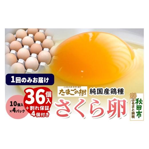 ふるさと納税 卵(鶏、烏骨鶏等) 秋田県 秋田市 たまごの樹 純国産鶏種 卵『さくら』36個+割れ保証4個付き(10個入×4パック) たまご タマゴ 玉子 鶏卵 まと…