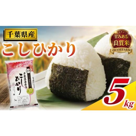 ふるさと納税 米 千葉県 東金市 コシヒカリ 5kg 米 お米 こめ コメ こしひかり 7年度産 千葉県産 kome okome 精米 白米 ご飯 ごはん 米 ごはん 備蓄米 国産 炊…