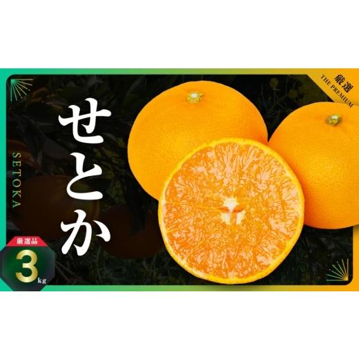 ふるさと納税 みかん・柑橘類 愛媛県 八幡浜市 三代目の柑橘の大トロ せとか 3kg D31-6 _せとか 柑橘 フルーツ 果物 くだもの みかん 人気 おすすめ 送料無料 …