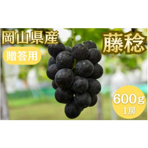 ふるさと納税 果物類 ぶどう 岡山県 真庭市 2026年先行予約 贈答用 8月中旬ごろからお届け予定 藤稔 600g以上 (1房) fsfm007-01
