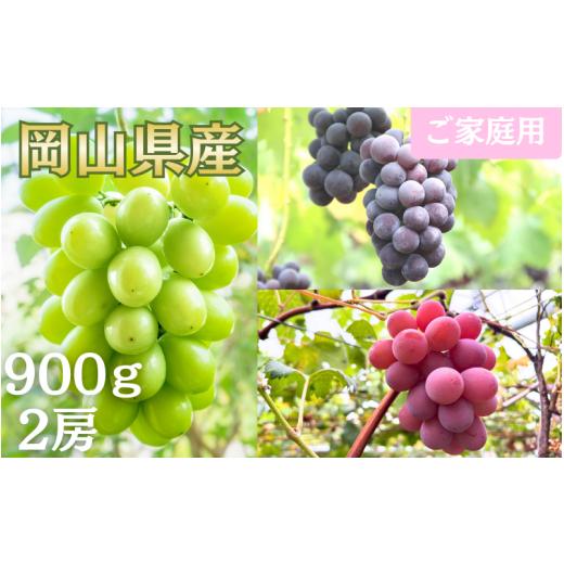 ふるさと納税 果物類 ぶどう 岡山県 真庭市 2026年先行予約 ご家庭用 シャインマスカット & おまかせ1種 (紫苑 or ピオーネ) 900g以上 (2房) fsfm008-01