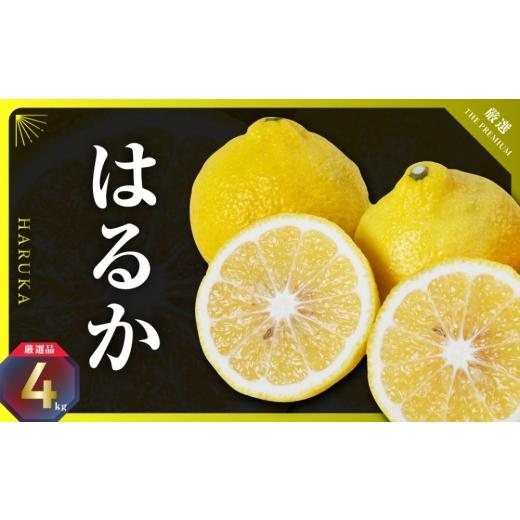 ふるさと納税 果物類 みかん 愛媛県 八幡浜市 三代目のはるか4kg D31-8 _みかん ミカン 柑橘 フルーツ 果物 くだもの 青果 はるか 産地直送 産直 愛媛 甘い ジ…