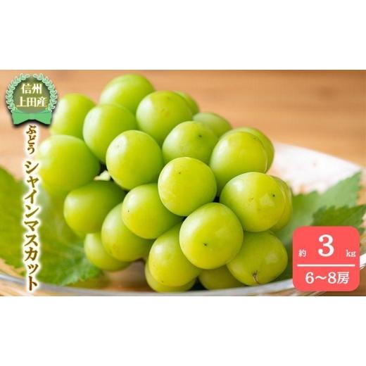 ふるさと納税 ぶどう マスカット 長野県 上田市  2026年産 シャインマスカット 3kg ぶどう 葡萄 ブドウ マスカット 果物 くだもの フルーツ デザート 旬の果物…の画像