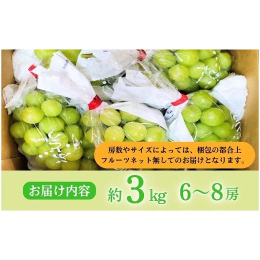 ふるさと納税 ぶどう マスカット 長野県 上田市  2026年産 シャインマスカット 3kg ぶどう 葡萄 ブドウ マスカット 果物 くだもの フルーツ デザート 旬の果物…の画像