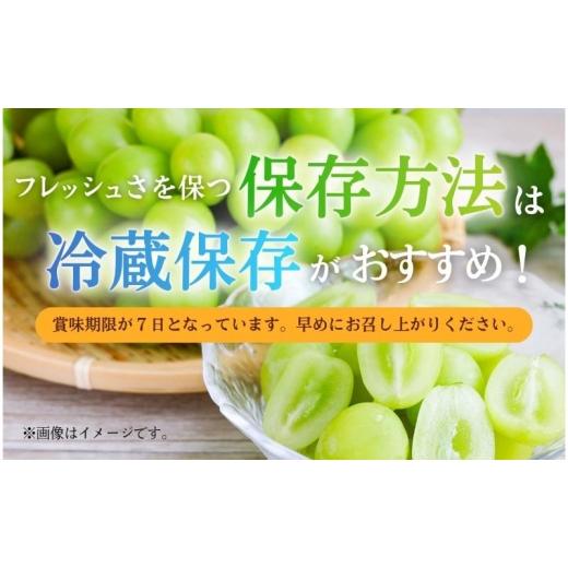ふるさと納税 ぶどう マスカット 長野県 上田市  2026年産 シャインマスカット 3kg ぶどう 葡萄 ブドウ マスカット 果物 くだもの フルーツ デザート 旬の果物…の画像