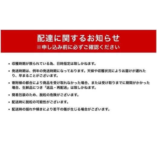 ふるさと納税 ぶどう マスカット 長野県 上田市  2026年産 シャインマスカット 3kg ぶどう 葡萄 ブドウ マスカット 果物 くだもの フルーツ デザート 旬の果物…の画像
