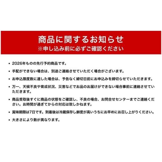 ふるさと納税 ぶどう マスカット 長野県 上田市  2026年産 シャインマスカット 3kg ぶどう 葡萄 ブドウ マスカット 果物 くだもの フルーツ デザート 旬の果物…の画像
