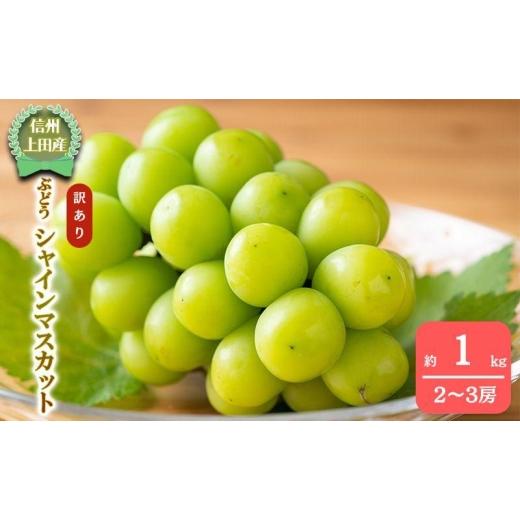 ふるさと納税 ぶどう マスカット 長野県 上田市 2026年産 訳ありシャインマスカット1kg ぶどう 葡萄 ブドウ マスカット 果物 くだもの フルーツ デザート 旬…
