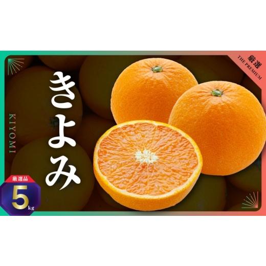 ふるさと納税 みかん・柑橘類 愛媛県 八幡浜市 三代目がつくる高品質 きよみ 5kg D31-9 _ミカン みかん 清見 きよみタンゴール オレンジ ジューシー 常温 フル…
