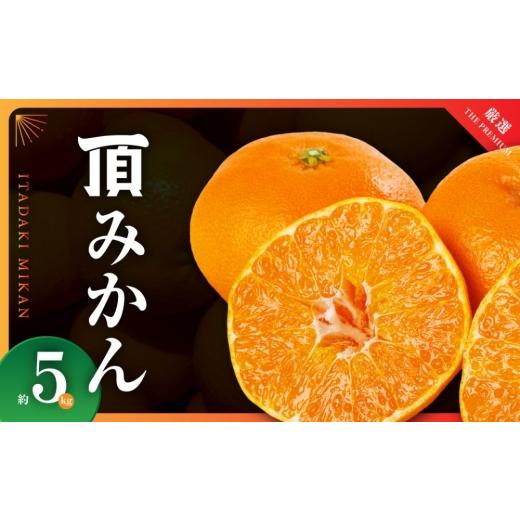 ふるさと納税 果物類 みかん 愛媛県 八幡浜市 三代目がつくる高品質 頂みかん 5kg C31-16 _ みかん 蜜柑 ミカン 愛媛みかん 愛媛 国産 箱 送料無料 農家直送 …