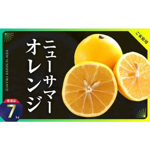 ふるさと納税 みかん・柑橘類 愛媛県 八幡浜市 ニューサマーオレンジ 約7kg(ご家庭用) C31-26 _訳アリ わけあり ワケアリミカン みかん 日向夏 小夏 フルーツ…