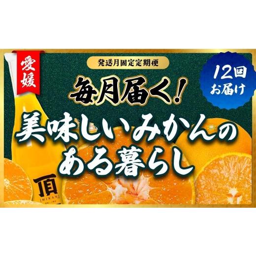 ふるさと納税 果物類 みかん 愛媛県 八幡浜市 発送月固定定期便 みかんのある暮らし全12回 H31-33 _蜜柑 ミカン 柑橘類 柑橘 フルーツ 果物 くだもの 人気 美…