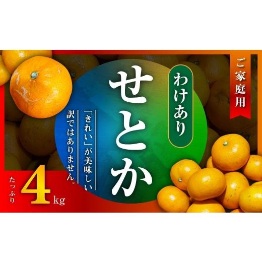 ふるさと納税 みかん・柑橘類 愛媛県 八幡浜市 先行受付 三代目のわけありせとか4kg サイズ不揃い・傷 C31-34 _訳アリ わけあり ワケアリミカン みかん せと…