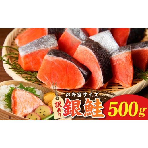 ふるさと納税 魚貝類 鮭 大阪府 泉佐野市 鮭の切り身 500g(11〜13切れ) お弁当 訳アリ 不揃い 切身 サケ さけ しゃけ シャケ 魚介 海鮮 魚 さかな