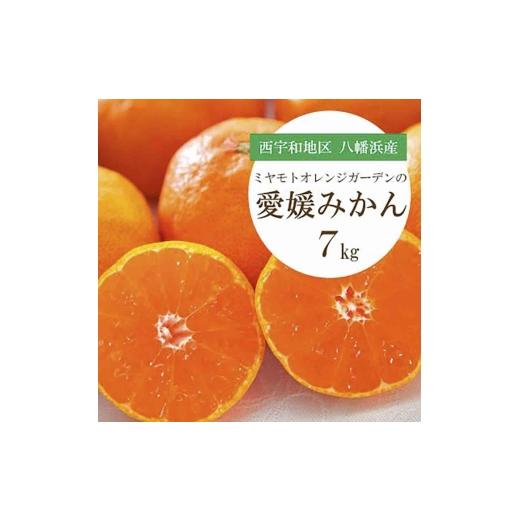 ふるさと納税 果物類 みかん 愛媛県 八幡浜市 愛媛みかん 7kg 西宇和地区八幡浜市産 E25-123 _ みかん ミカン 柑橘 フルーツ ふるーつ 果物 くだもの 青果 温…