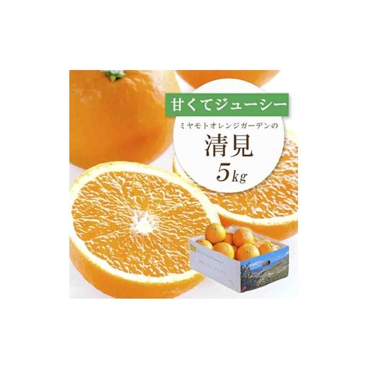 ふるさと納税 果物類 みかん 愛媛県 八幡浜市 果汁たっぷり ジューシー 清見 5kg │ 愛媛県八幡浜市産 E25-126 _みかん ミカン 柑橘 フルーツ ふるーつ 果物 …