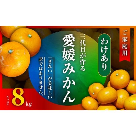 ふるさと納税 果物類 みかん 愛媛県 八幡浜市 訳あり(家庭用) 三代目がつくる愛媛みかん 8kg C31-40 1556518 YW