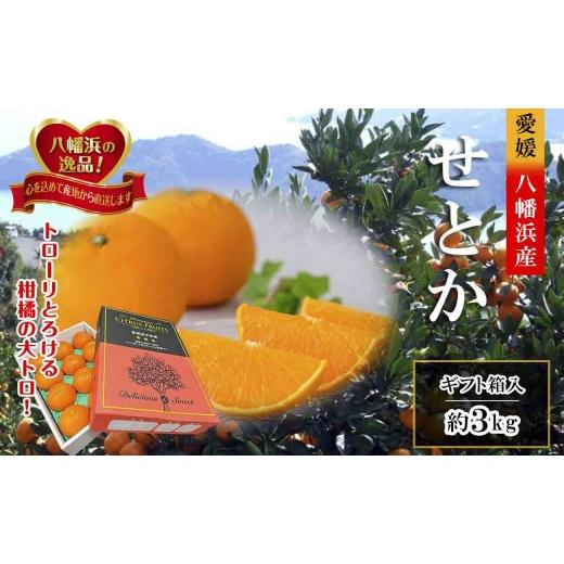 ふるさと納税 みかん・柑橘類 愛媛県 八幡浜市 2027年2月〜順次発送 柑橘の大トロ「せとか」約3kg D39-6 _みかん ミカン 柑橘 せとか フルーツ くだもの 果物…