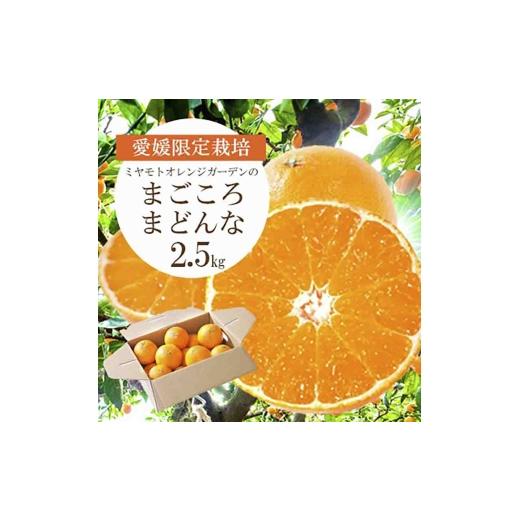 ふるさと納税 みかん・柑橘類 愛媛県 八幡浜市 紅まどんなと同品種 愛媛果試28号 まごころまどんな 2.5kg D25-128 _ まどんな マドンナ 柑橘類 柑橘 みかん ミ…