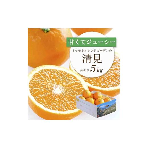 ふるさと納税 みかん・柑橘類 愛媛県 八幡浜市 果汁たっぷり ジューシー 愛媛県八幡浜市産 清見 5kg 訳あり D25-138 _清見 きよみ 柑橘 かんきつ オレンジ み…