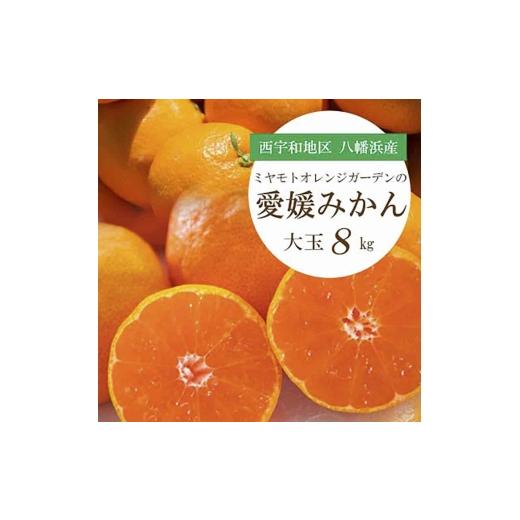 ふるさと納税 果物類 みかん 愛媛県 八幡浜市 大玉サイズのみ厳選 八幡浜産 愛媛みかん8kg 訳あり C25-142 _みかん 訳あり ミカン 蜜柑 大玉 愛媛 愛媛みかん …