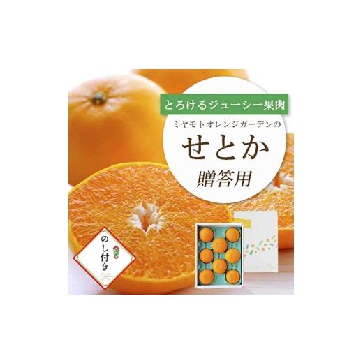 ふるさと納税 みかん・柑橘類 愛媛県 八幡浜市 先行受付 とろける濃厚柑橘 せとか のし付き ギフトボックス入り E25-168 1536588 YW
