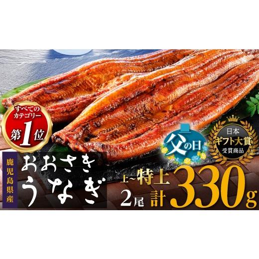 ふるさと納税 うなぎ 鹿児島県 大崎町 数量限定 2026年父の日までにお届け 鹿児島県産うなぎ長蒲焼2尾