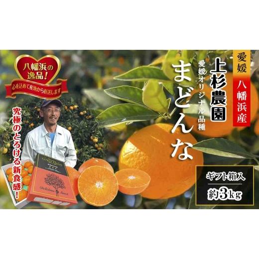 ふるさと納税 みかん・柑橘類 愛媛県 八幡浜市 ギフト対応化粧箱入・上杉農園のぷるぷる新食感 「マドンナ」約3kg D39-16 _みかん ミカン マドンナ 紅まどんな…