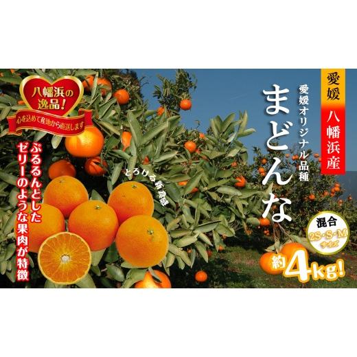 ふるさと納税 果物類 みかん 愛媛県 八幡浜市 2026年11月発送開始 ぷるぷる新食感「マドンナ」約4kg D39-31 _みかん ミカン マドンナ 紅まどんな同品種 柑…
